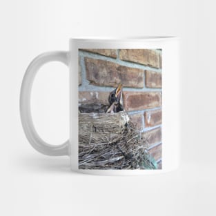 Peaking Out the Nest Mug